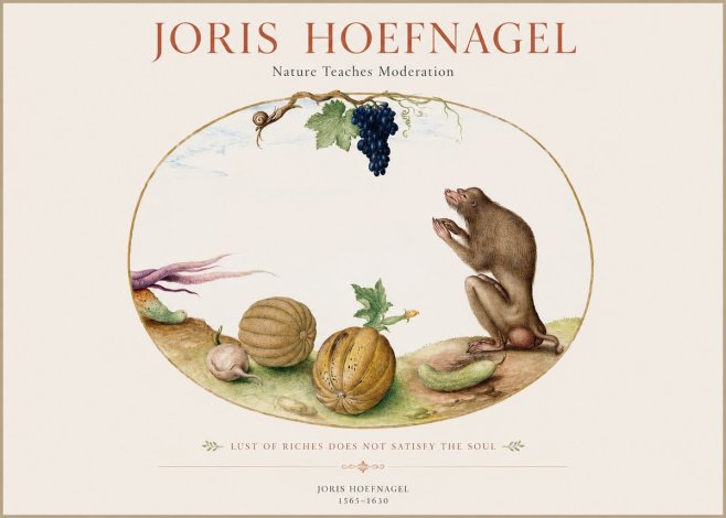 Joris Hoefnagel Nature Teaches Moderation No1 - Juliste