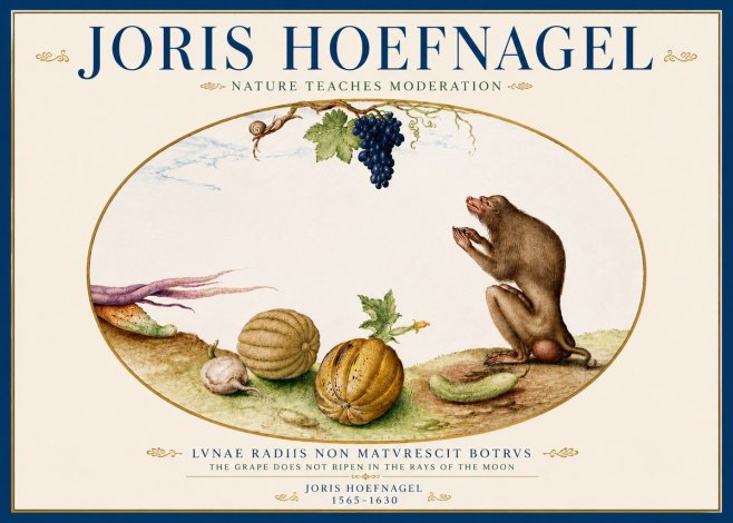 Joris Hoefnagel Nature Teaches Moderation No5 - Juliste