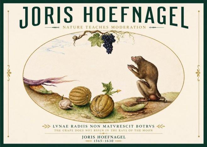 Joris Hoefnagel Nature Teaches Moderation No6 - Juliste