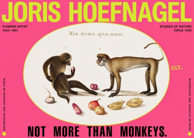 Joris Hoefnagel Not More Than Monkeys No2 - Juliste