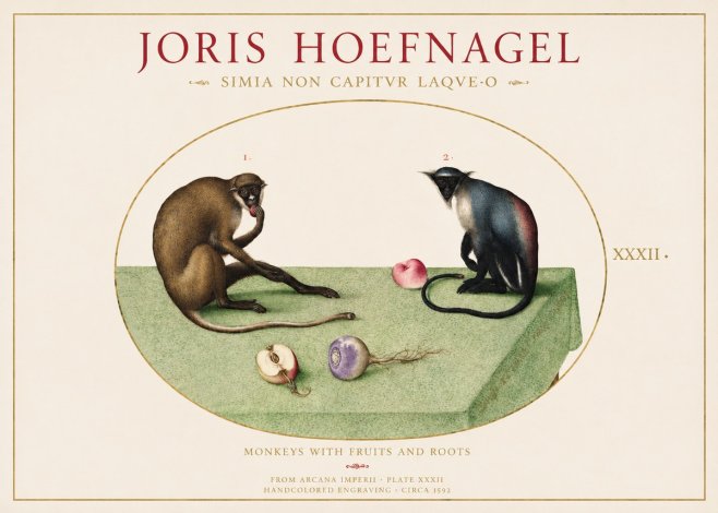 Joris Hoefnagel Monkeys with Fruits and Roots No1 - Juliste