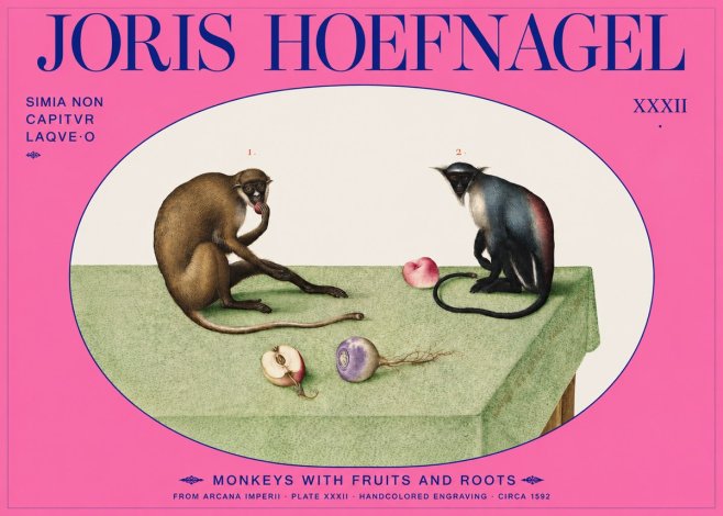 Joris Hoefnagel Monkeys with Fruits and Roots No2 - Juliste