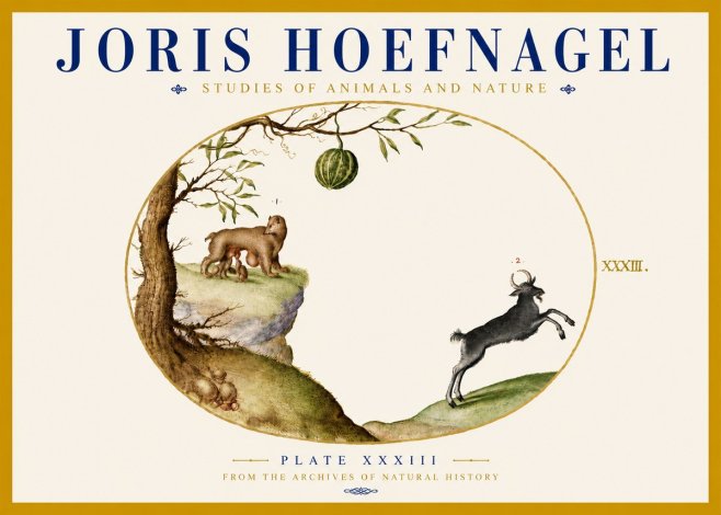 Joris Hoefnagel Plate Xxxiii No5 - Juliste