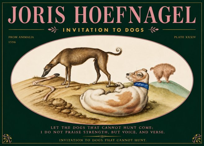 Joris Hoefnagel Invitation to Dogs No5 - Juliste