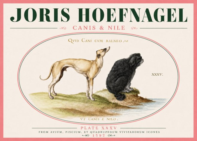 Joris Hoefnagel Neither Can a Dog Live in Baths No6 - Juliste