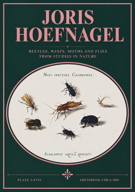 Joris Hoefnagel Scarabeus Aqvilä Qvaerit. No3 - Juliste