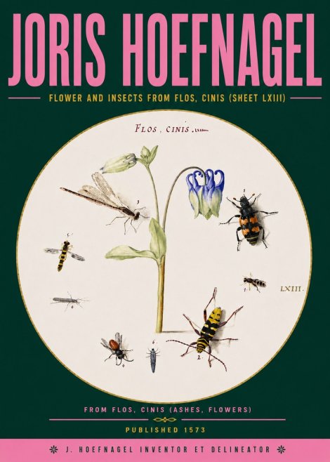 Joris Hoefnagel Insects and a Flower Study No6 - Juliste