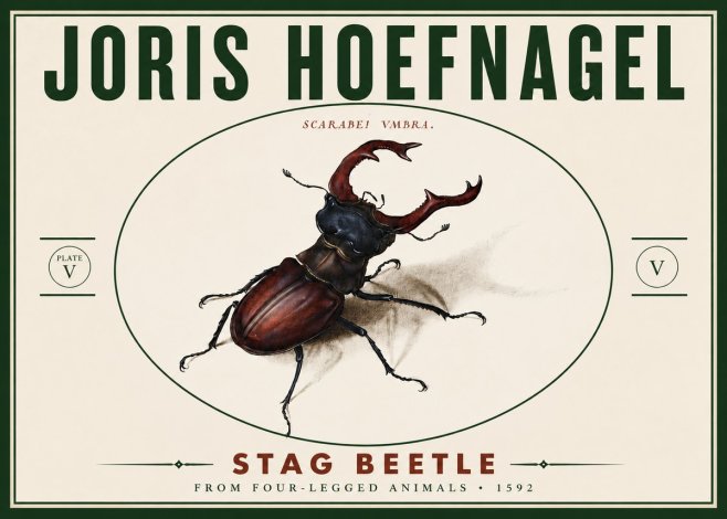 Joris Hoefnagel Stag Beetle No6 - Juliste