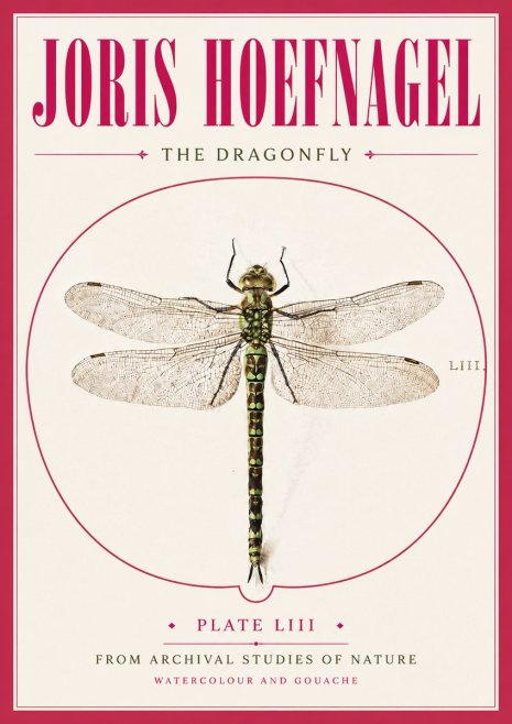 Joris Hoefnagel The Dragonfly No5 - Juliste