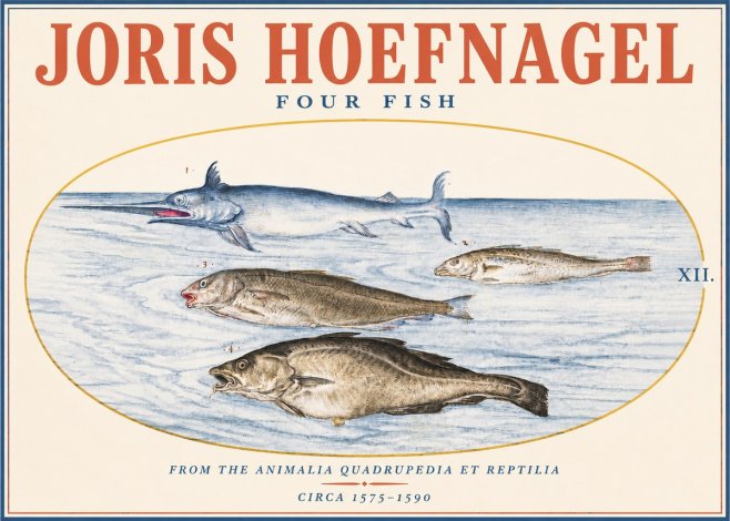 Joris Hoefnagel Four Fish No3 - Juliste