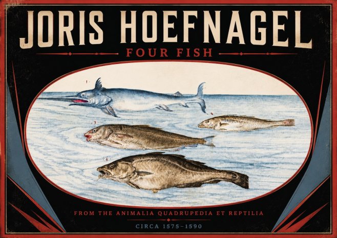 Joris Hoefnagel Four Fish No5 - Juliste
