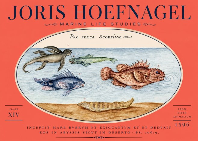 Joris Hoefnagel Pro Perca Scorpivm No5 - Juliste