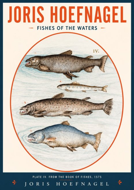 Joris Hoefnagel Fishes of the Waters I No2 - Juliste