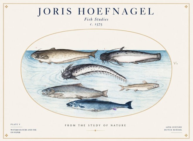 Joris Hoefnagel Fish of the Waters No2 - Juliste