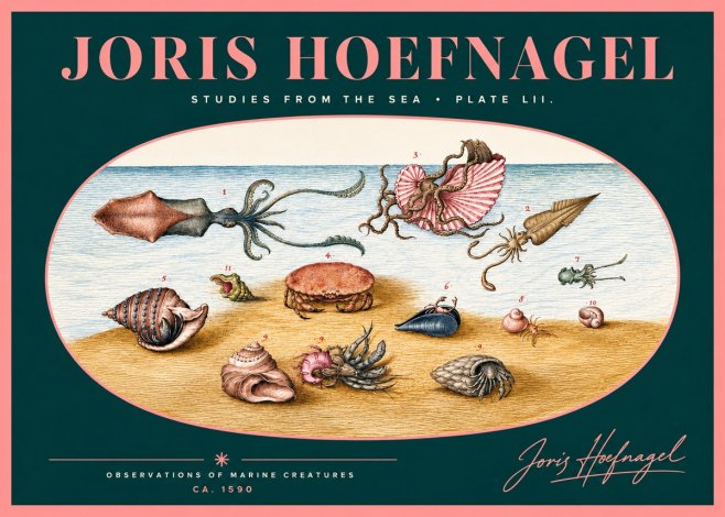 Joris Hoefnagel Marine Creatures - Plate Lii No2 - Juliste
