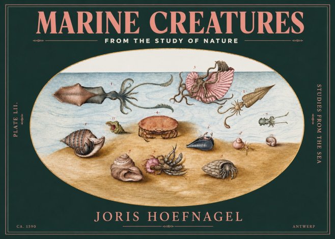 Joris Hoefnagel Marine Creatures - Plate Lii No3 - Juliste