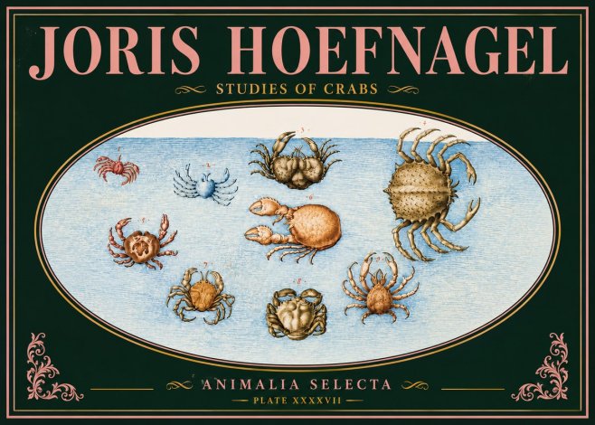 Joris Hoefnagel Studies of Crabs No5 - Juliste