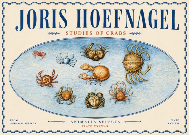 Joris Hoefnagel Studies of Crabs No6 - Juliste