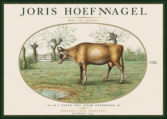 Joris Hoefnagel Bos in Lingva No6 - Juliste