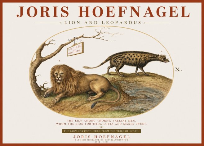 Joris Hoefnagel Lion and Spotted Hyena No4 - Juliste