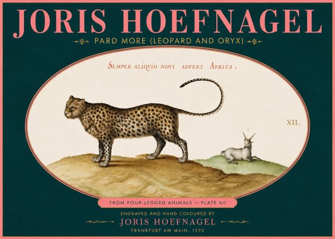 Joris Hoefnagel Pard More (Leopard and Oryx) No5 - Juliste