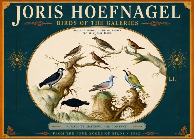 Joris Hoefnagel Birds of the Galeries No5 - Juliste