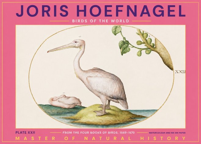 Joris Hoefnagel Plate Xxii No2 - Juliste