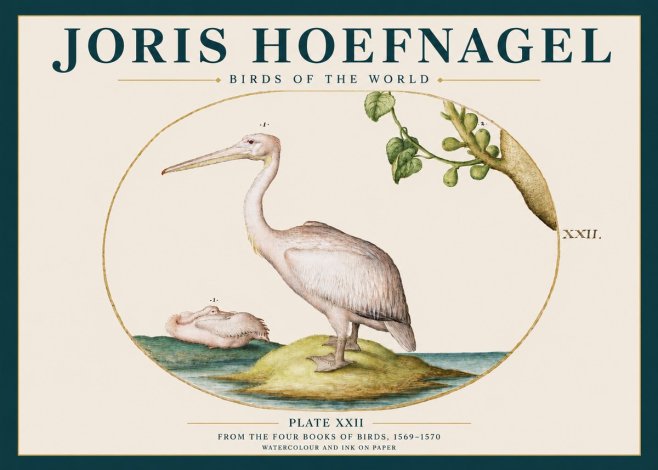 Joris Hoefnagel Plate Xxii No3 - Juliste