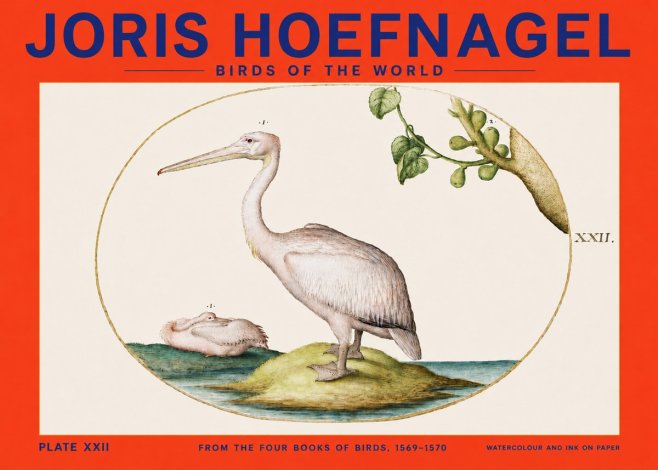 Joris Hoefnagel Plate Xxii No4 - Juliste