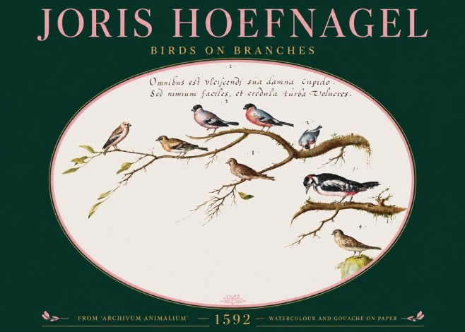 Joris Hoefnagel Birds on Branches No2 - Juliste