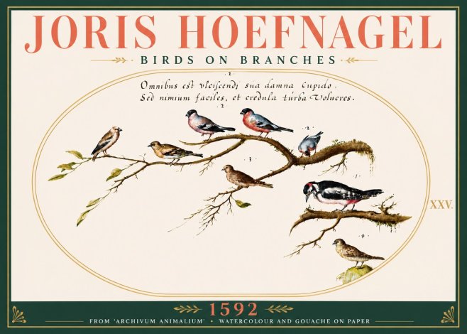 Joris Hoefnagel Birds on Branches No6 - Juliste