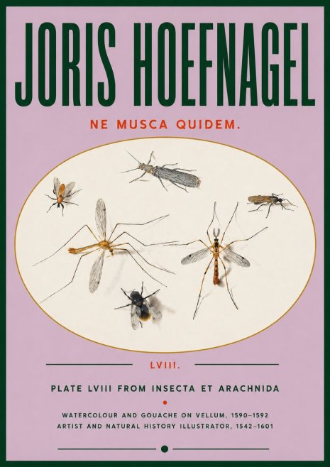 Joris Hoefnagel Plate Lviii from Insecta Et Arachnida No4 - Juliste