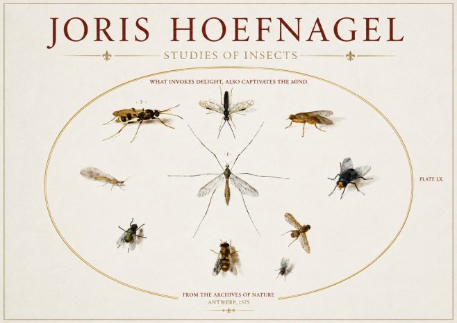 Joris Hoefnagel Studies of Insects III No3 - Juliste