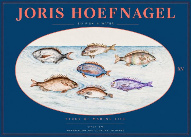 Joris Hoefnagel Six Fish in Water No2 - Juliste