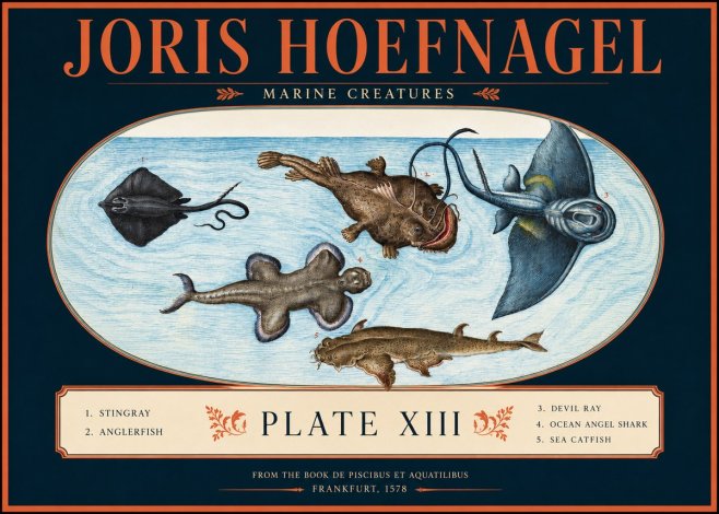 Joris Hoefnagel Marine Creatures Plate Xiii No2 - Juliste
