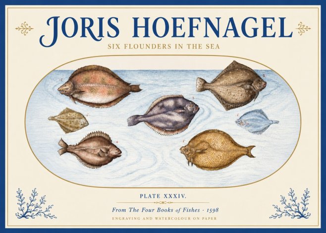 Joris Hoefnagel Six Flounders in the Sea No3 - Juliste