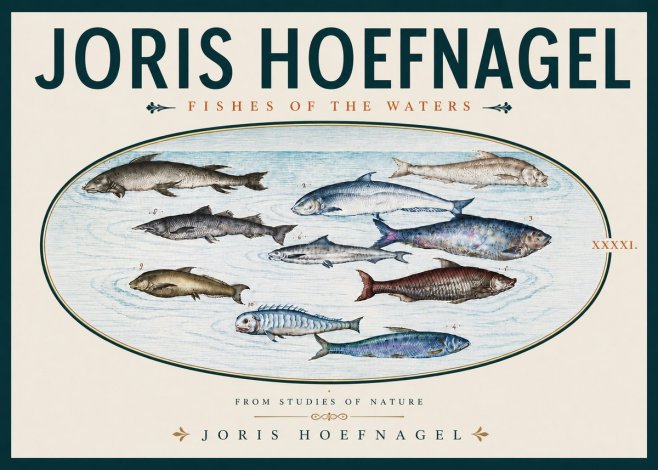 Joris Hoefnagel Fishes of the Waters II No5 - Juliste
