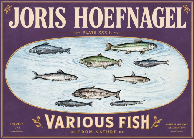 Joris Hoefnagel Various Fish from Nature No6 - Juliste