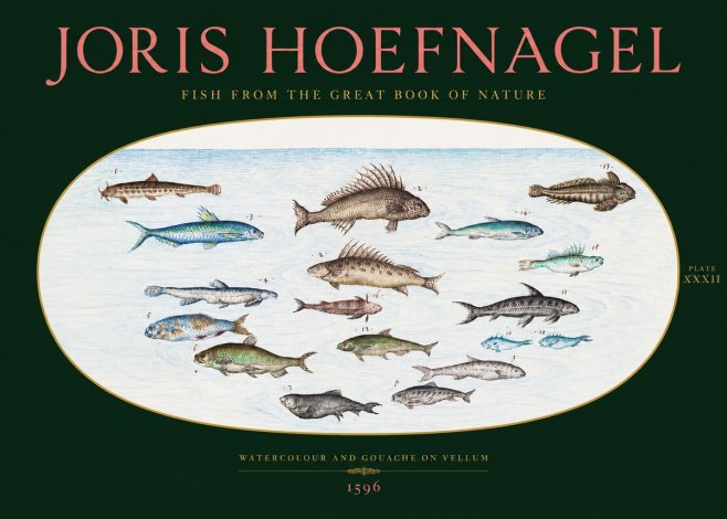 Joris Hoefnagel Fish from the Great Book of Nature No2 - Juliste
