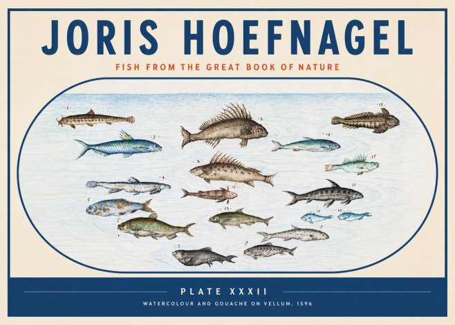 Joris Hoefnagel Fish from the Great Book of Nature No3 - Juliste