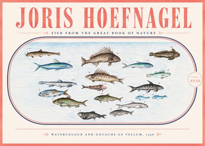 Joris Hoefnagel Fish from the Great Book of Nature No5 - Juliste