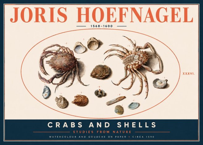 Joris Hoefnagel Crabs and Shells - Studies from Nature No4 - Juliste