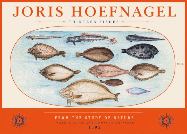 Joris Hoefnagel Thirteen Fishes from the Study of Nature No2 - Juliste