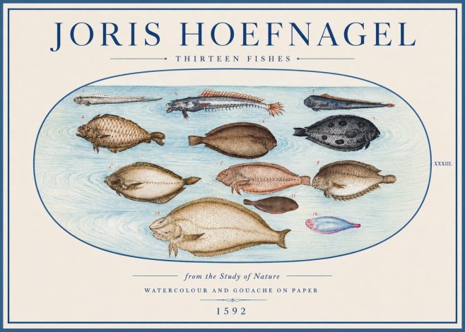 Joris Hoefnagel Thirteen Fishes from the Study of Nature No4 - Juliste