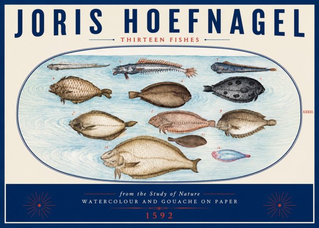Joris Hoefnagel Thirteen Fishes from the Study of Nature No6 - Juliste