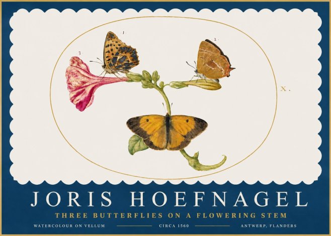 Joris Hoefnagel Three Butterflies on a Flowering Stem No2 - Juliste