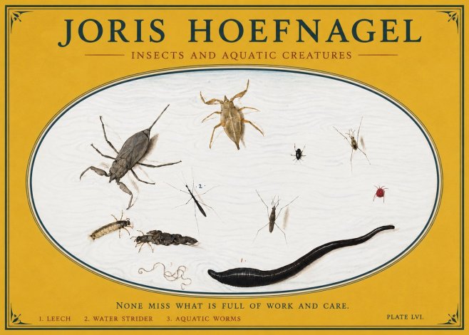 Joris Hoefnagel Insects and Aquatic Creatures No3 - Juliste
