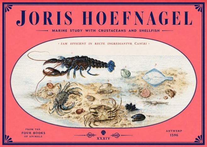 Joris Hoefnagel Marine Study with Crustaceans and Shellfish No4 - Juliste