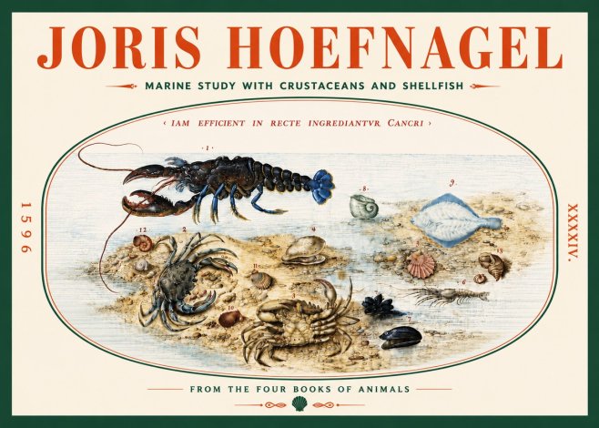 Joris Hoefnagel Marine Study with Crustaceans and Shellfish No5 - Juliste