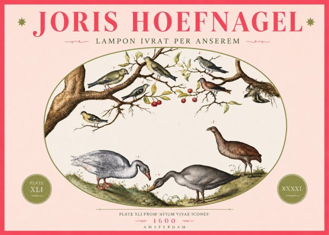 Joris Hoefnagel Lampon Ivrat per Anserem No4 - Juliste
